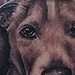 Dog Portrait Tattoo